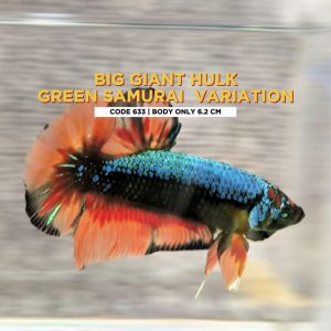 Rare Big Giant Hulk Green Samurai Variaton