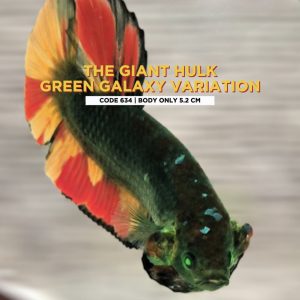 Rare Big Giant Hulk Green Galaxy Variaton