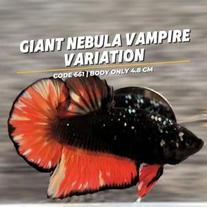 Rare Giant Nebula Vampire Variation